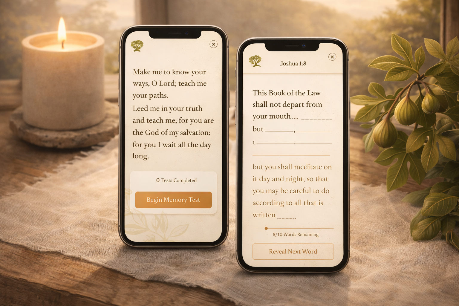 Promotional artwork for Bible Verse Games, the featured app from By The Fig Tree